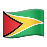 🇬🇾