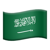 🇸🇦