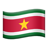 🇸🇷