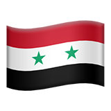 🇸🇾